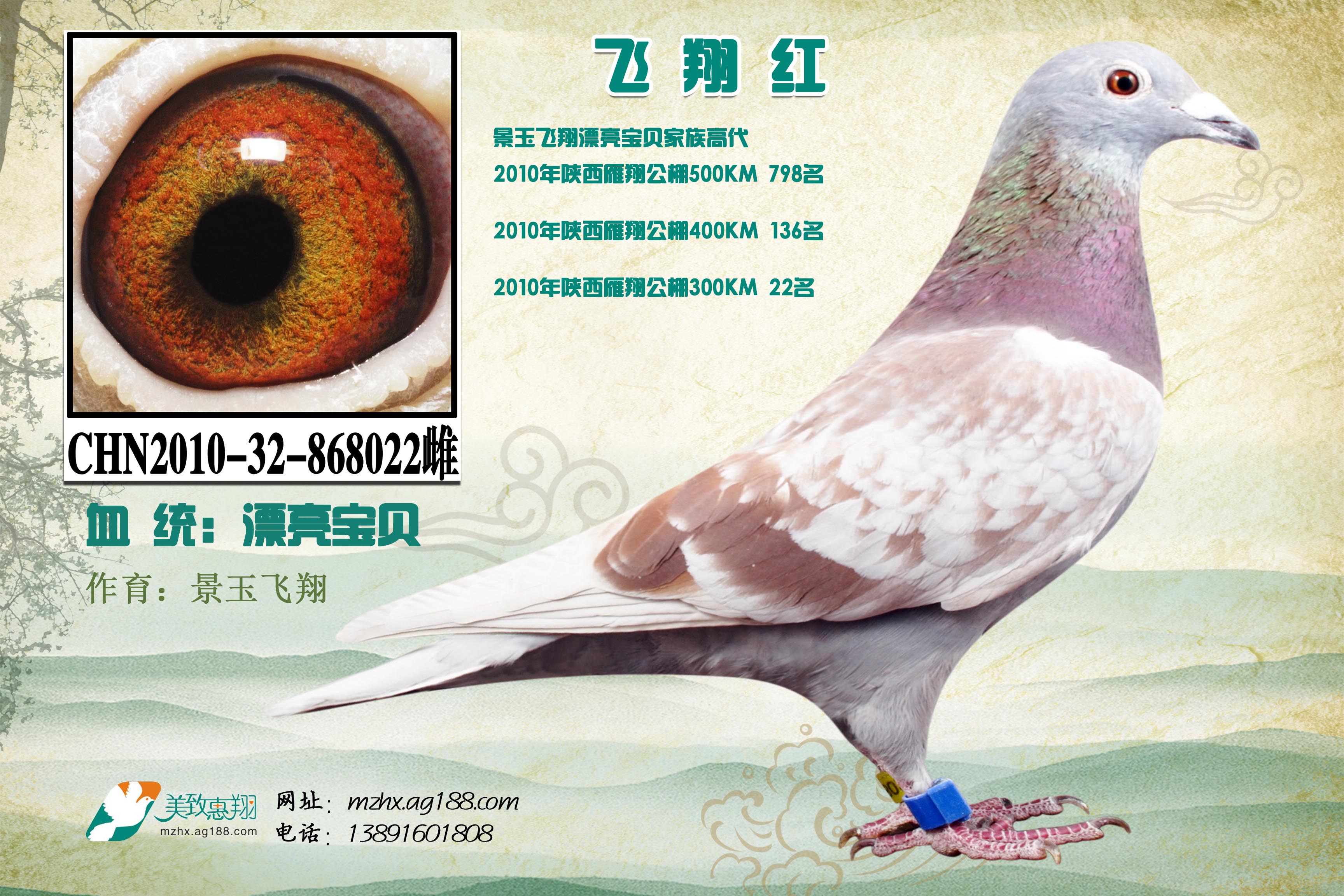 诡异的一幕：6只长颈鹿螺旋状死在地上，背后原因令人...