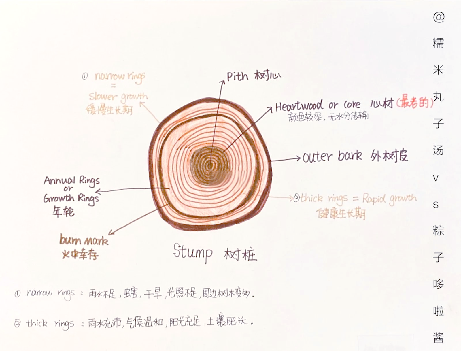 生命是在不断轮回的？150年经历一次？...