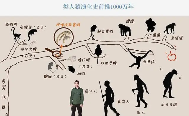 人类真的不是地球原住民吗？...