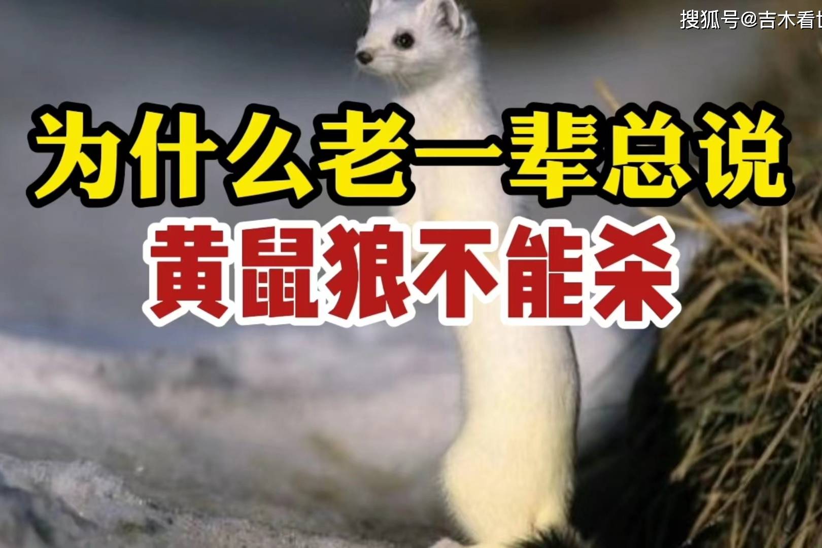 民间流传的“老虎三不杀”都指的什么？...