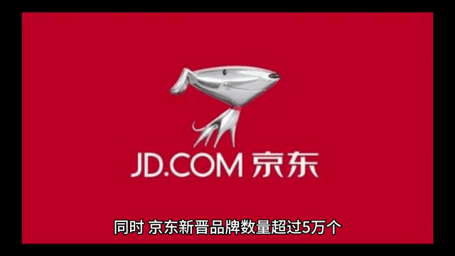 同城速配江湖实录：解密全国空降快餐群的生态链与生存法则