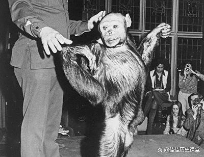 人类和黑猩猩能否成功杂交？苏联科学家的5名女性实验结果如何？