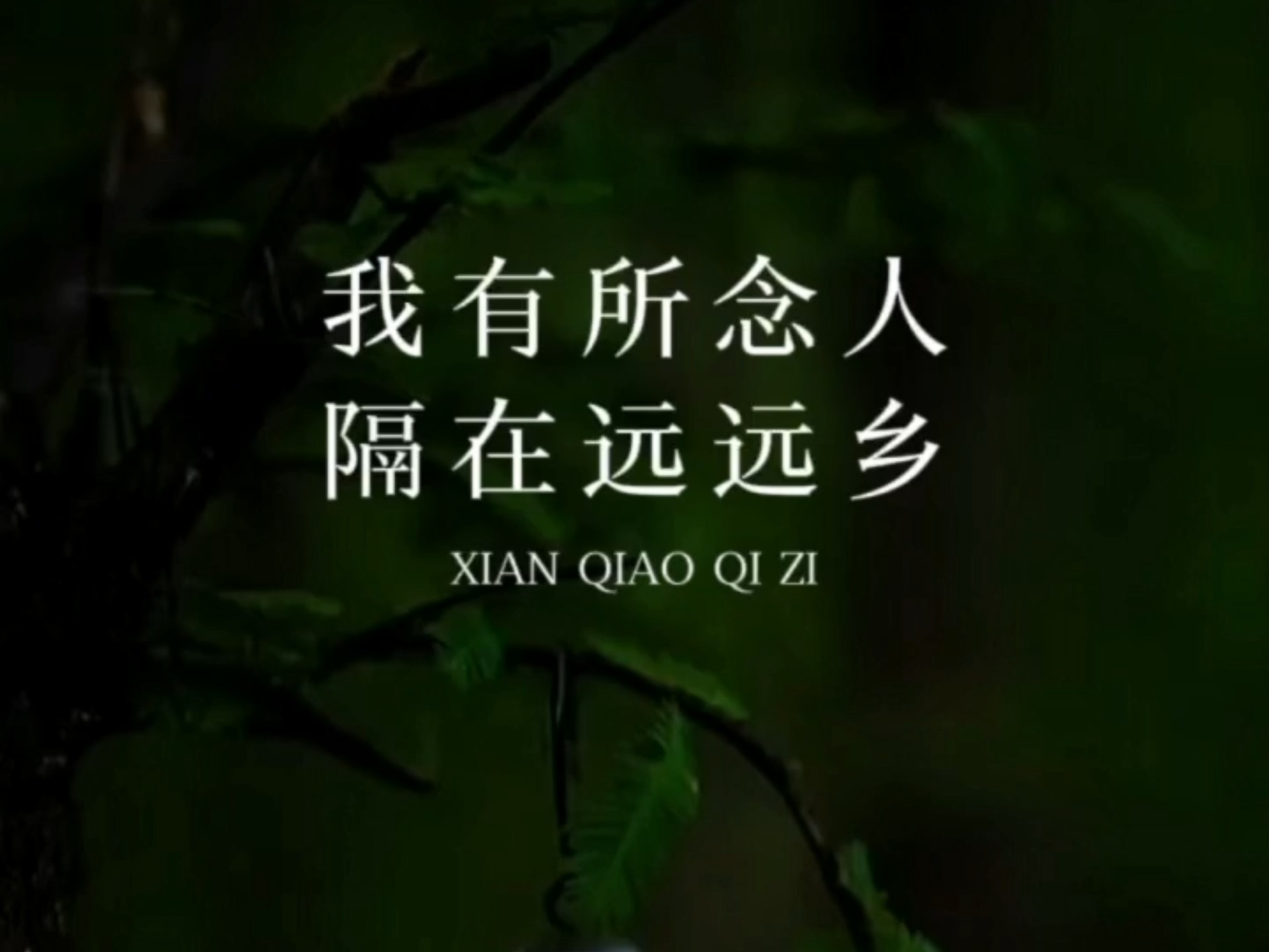 为什么说收集乡音的人，是漂泊异乡的魂？...