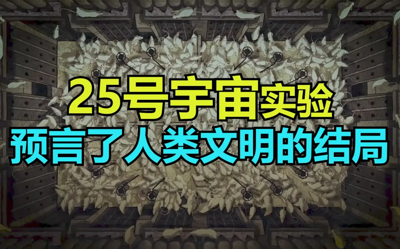 宇宙-25实验告诉我们什么？人类真的会像老鼠一样灭绝吗？