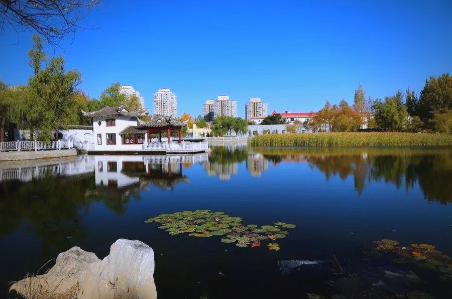 大庆站街姑娘去向调查，她们为何集体搬迁