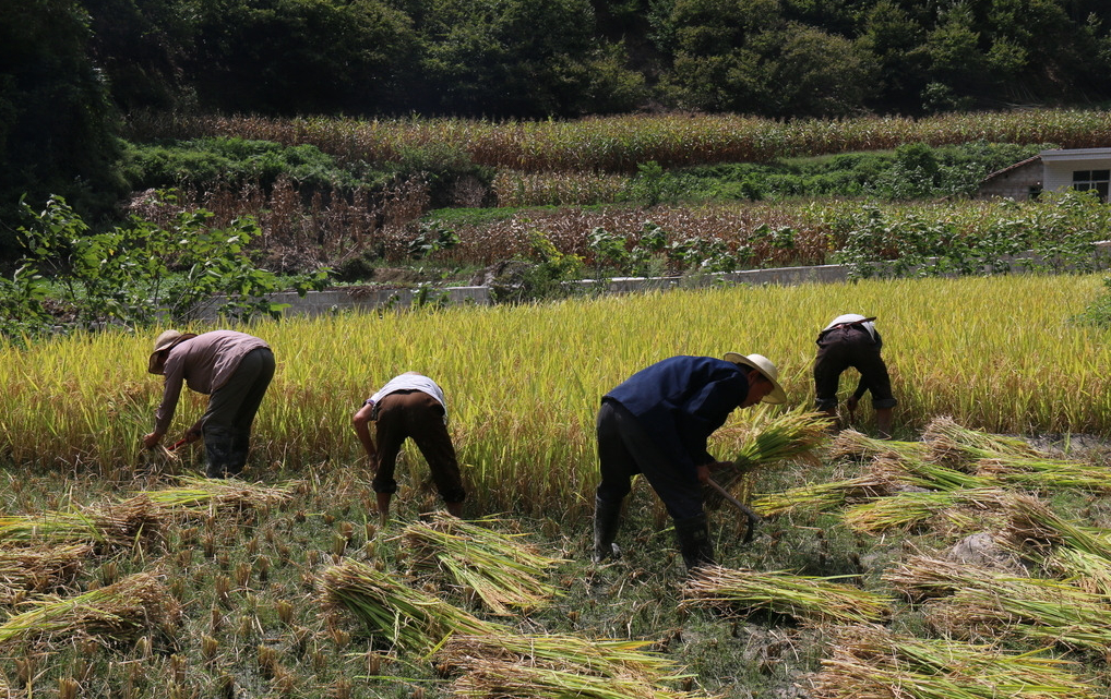 上门服务收费100元真相揭秘，真伪你分得清吗
