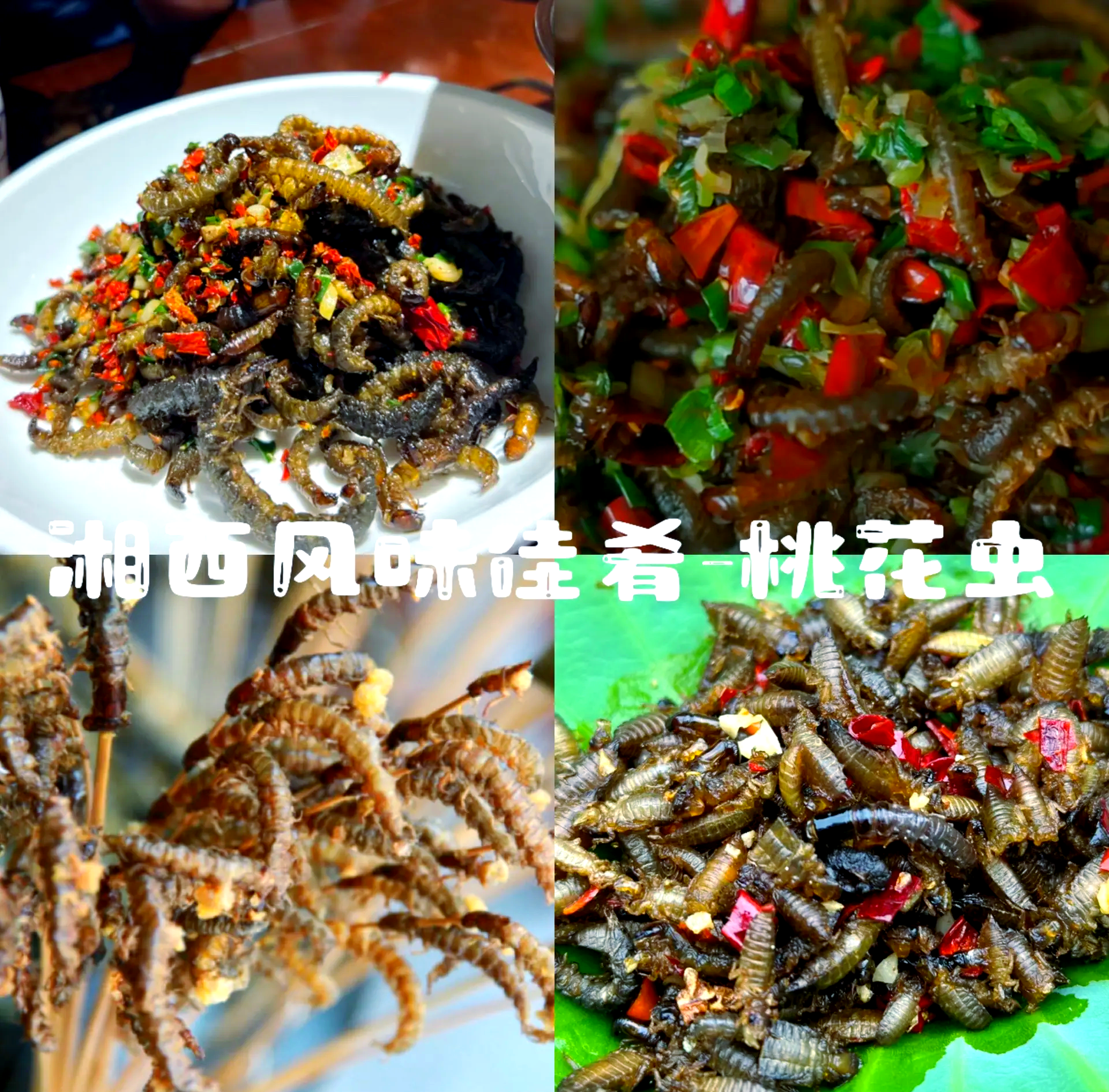 农村阿婆说最大的过山峰蛇可以长到十米长，这是真的吗...