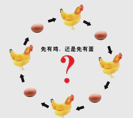 先有鸡还是先有蛋？科学怎么说，真相到底是什么？