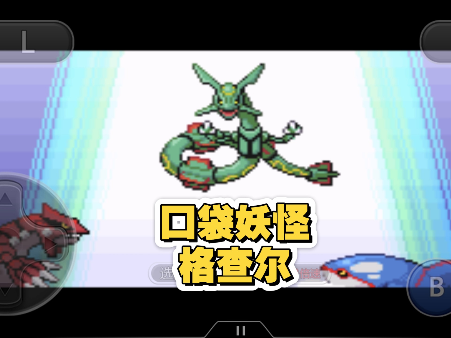 这些美丽的鸟为什么挣扎在濒危与灭绝的边缘?...