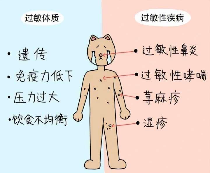 过敏为什么更常见了，影响到30%成年人和40%儿童...