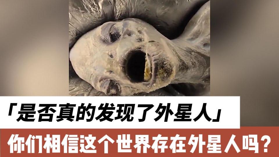 太平洋最深处有生物吗 人类是外星人实验品吗