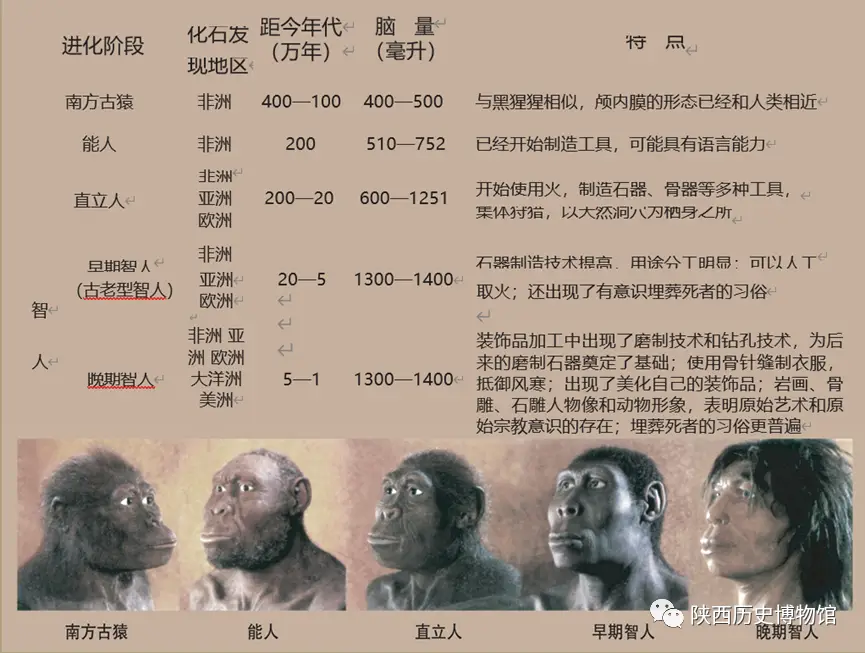 人能从猿类进化而来，为什么其他猿类至今没有进化？...