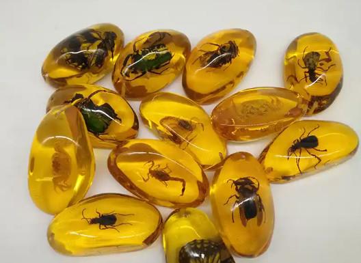 交配中变琥珀，保持姿势4100万年！网友：最长时间...