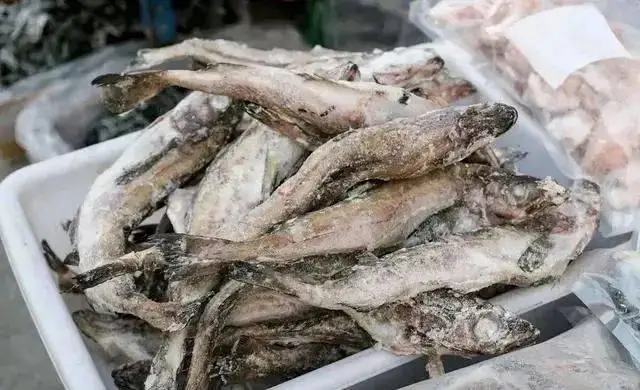 市场上售卖的鳕鱼大部分无头，这是为什么？...