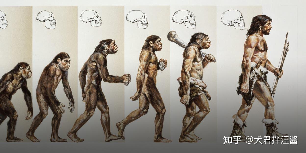 人类的起源、进化与生活中的那些奇妙现象，你知道多少？