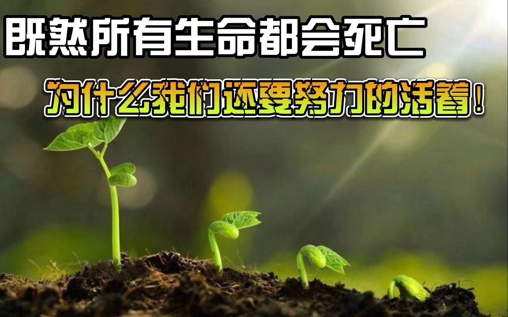 活着不好吗？生物为什么要“进化”出死亡？...