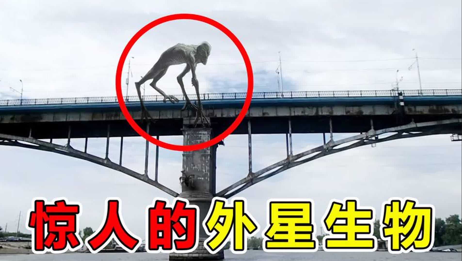世界上真的有外星人吗？他们到底住在哪个星球上？