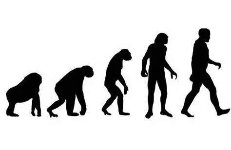 人类进化与宇宙探索 大自然生存启示录