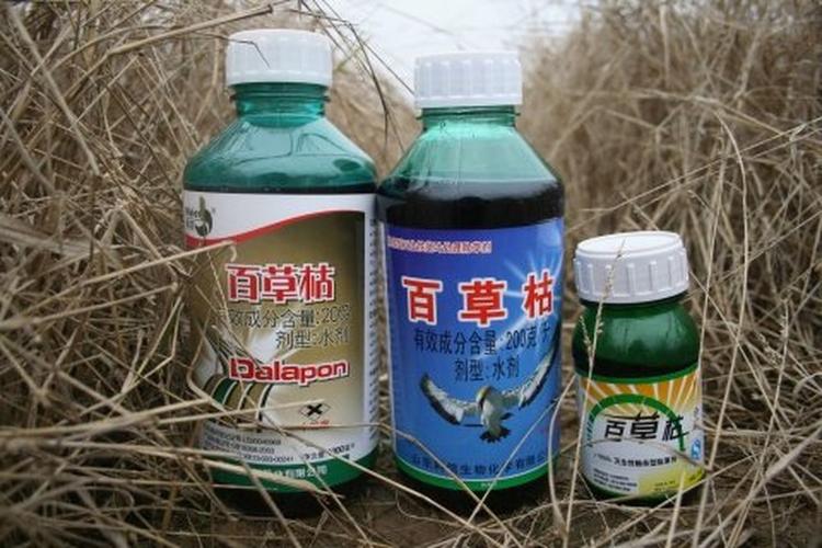 夏天放心吃的低农残蔬菜 哪些蔬菜基本不用农药