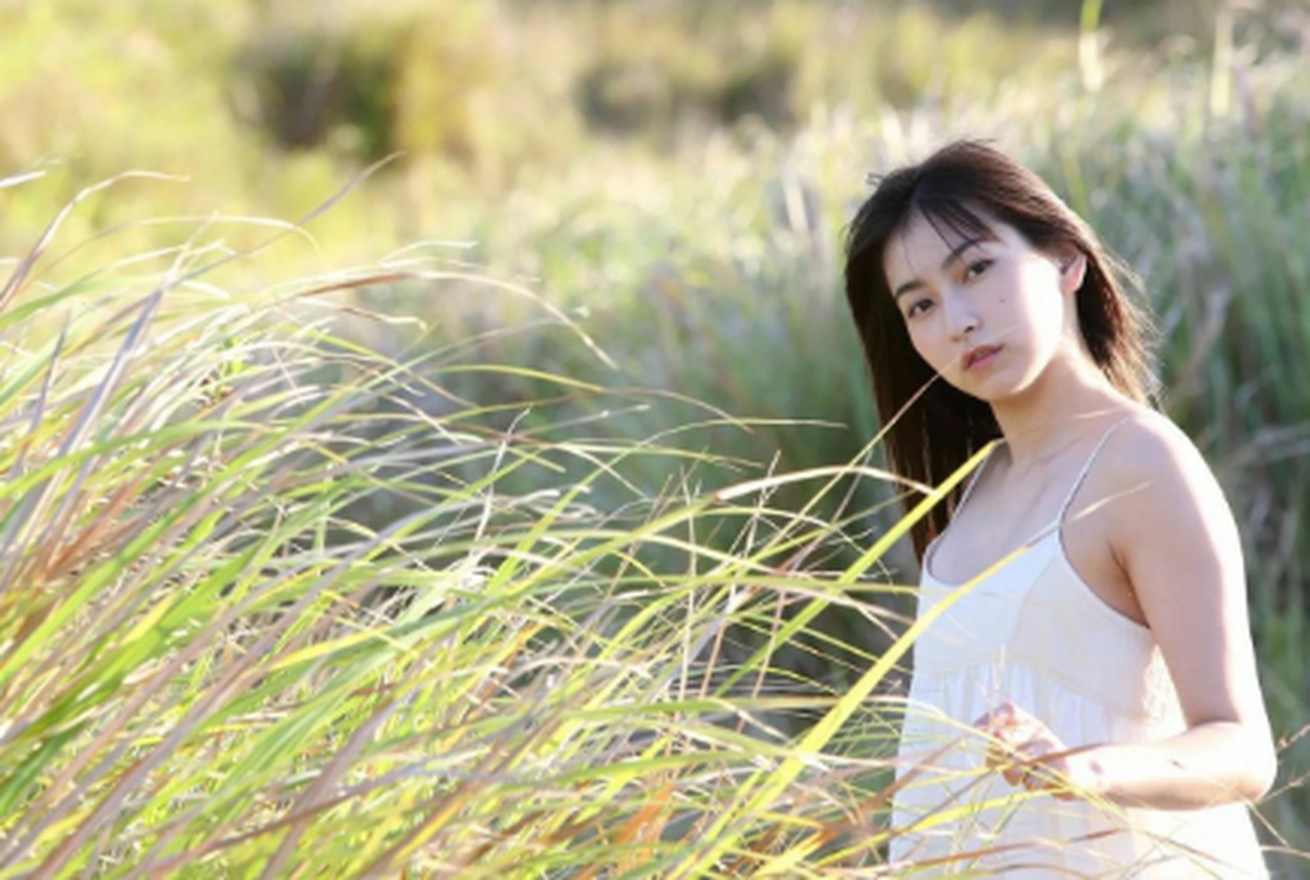 追踪大石植村巷里的爱情踪迹：浪漫探秘与实用避坑指南